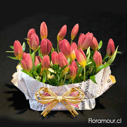 Arreglo de 20 tulipanes en base humectada papel decorativo (tono y color de tulipanes puede variar según importación)
